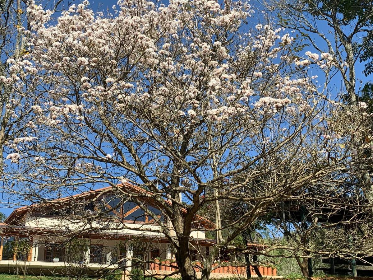 Gardenian Boutique Hotel São Roque Buitenkant foto
